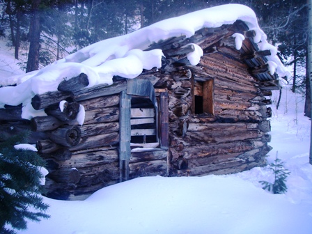 Cabin Winter