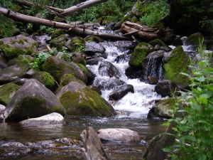 Small Stream Small Stream
