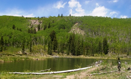 Backcountry Lake