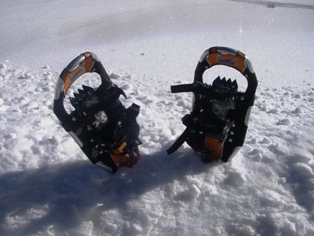 snowshoes